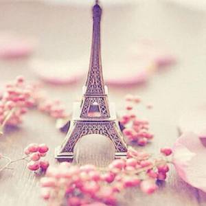 Our Romantic Paris Package