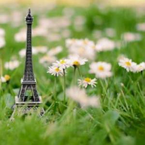Our Green Paris Package